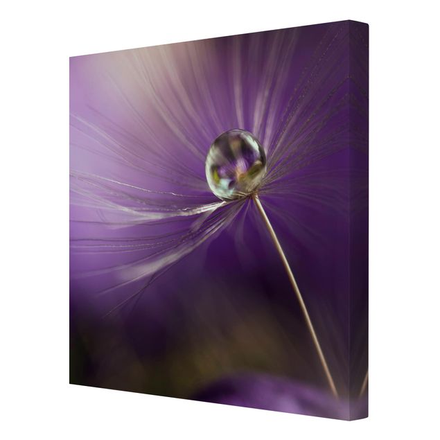 Wall art purple Dandelion In Violet