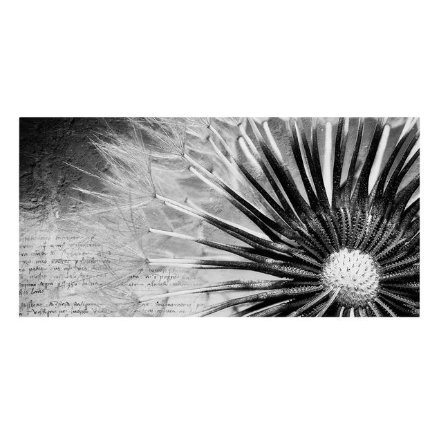 Black and white canvas art Dandelion Black & White