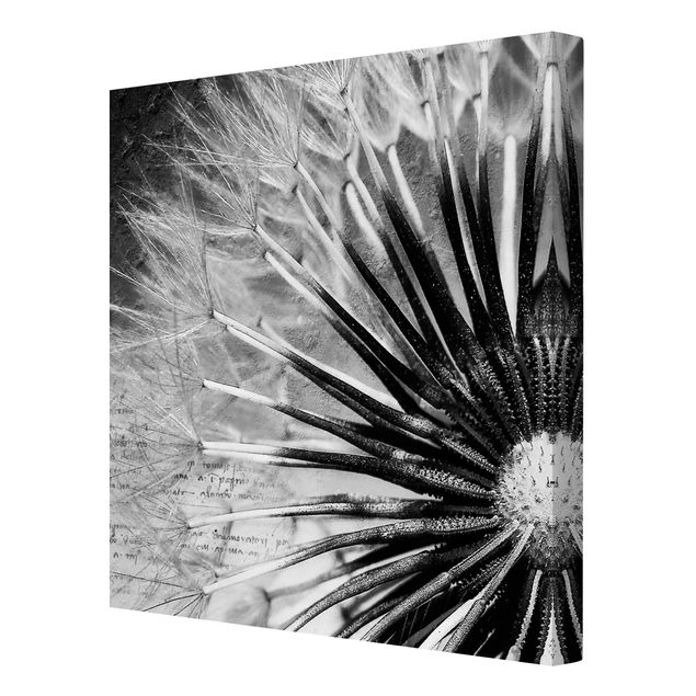 Floral canvas Dandelion Black & White