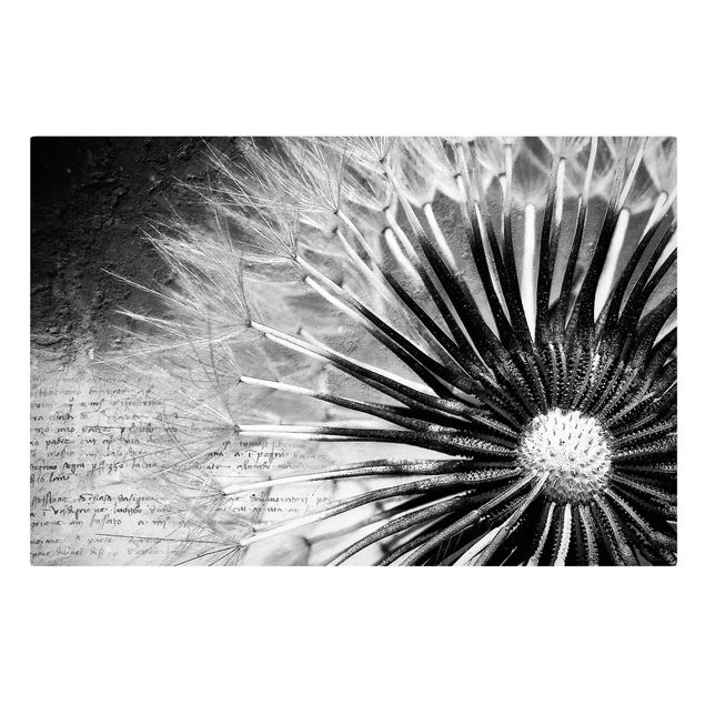 Black and white canvas art Dandelion Black & White