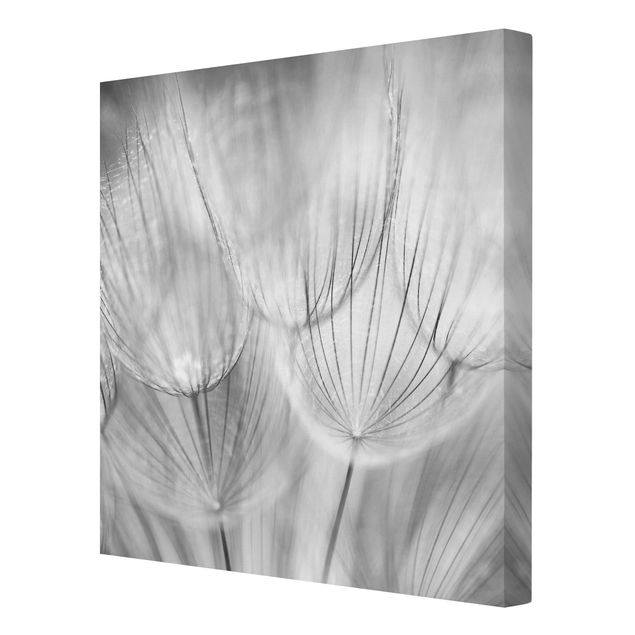 Floral prints Dandelions Macro Shot In Black And White
