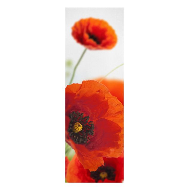 Prints flower Radiant Poppies