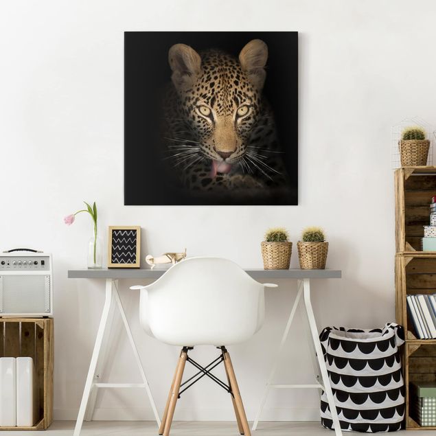 Cat canvas Resting Leopard