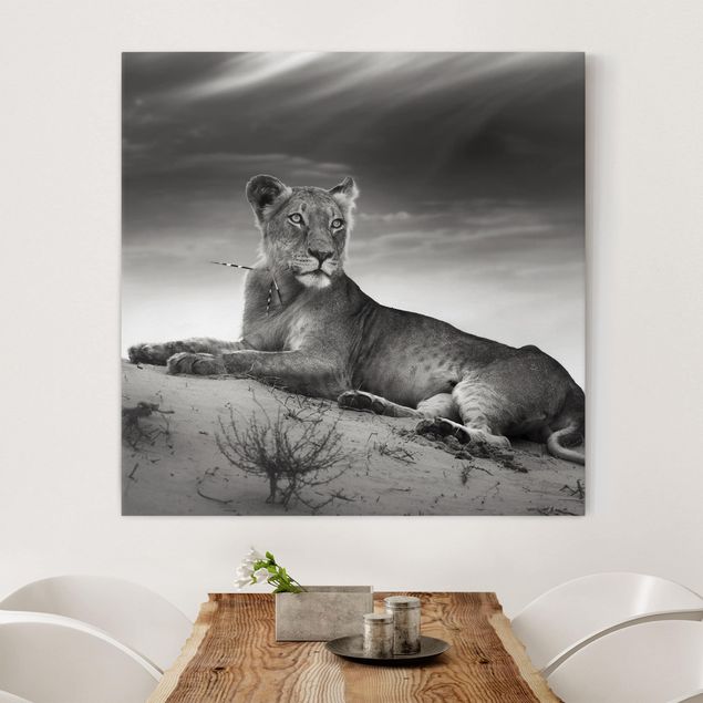 Kitchen Resting Lion