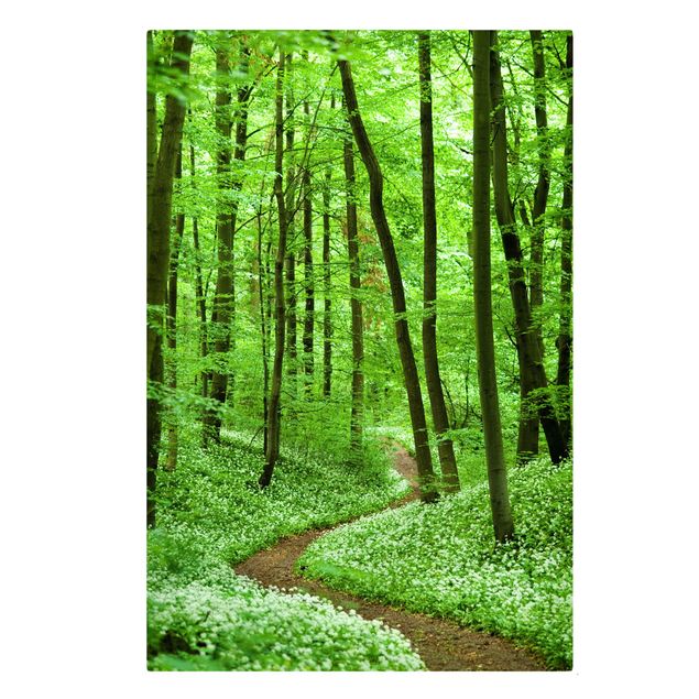 Canvas prints landscape Romantic Forest Track