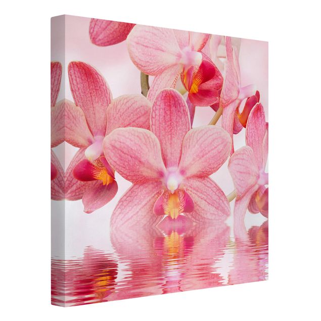 Prints floral Light Pink Orchid On Water