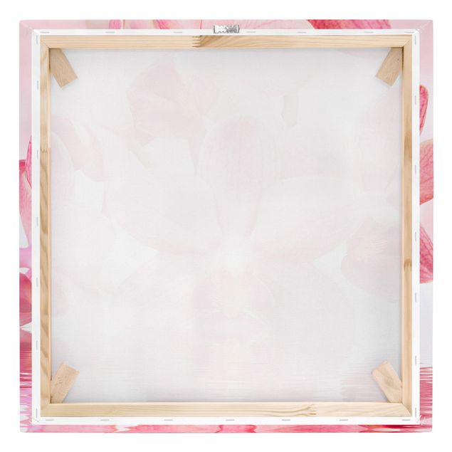 Prints Light Pink Orchid On Water