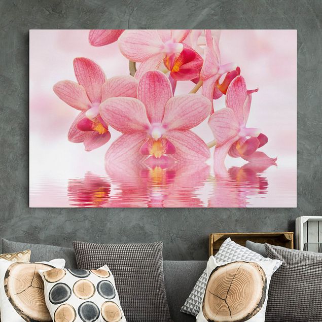 Kitchen Light Pink Orchid On Water