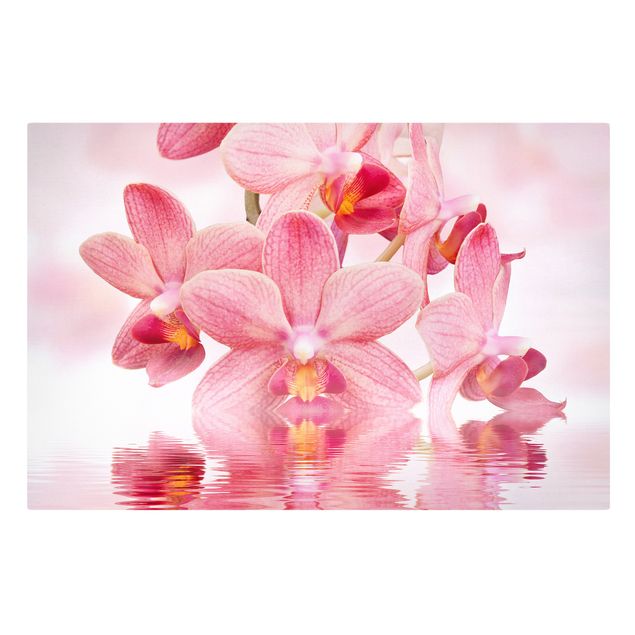 Floral prints Light Pink Orchid On Water