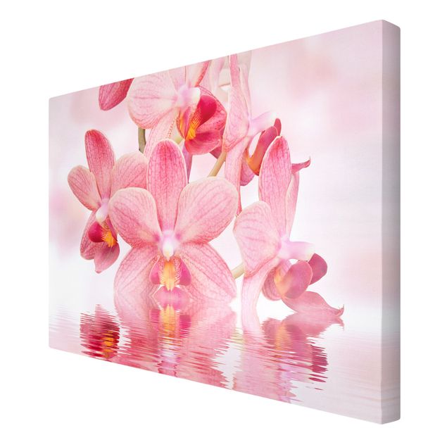 Contemporary art prints Light Pink Orchid On Water