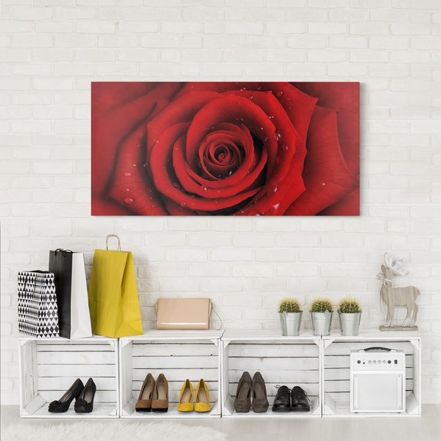 Rose canvas Red Rose With Water Drops