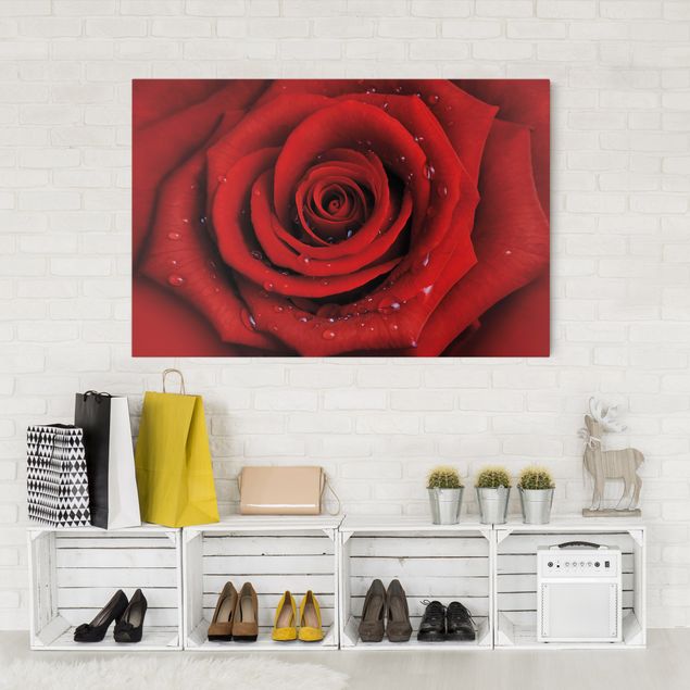 Rose canvas Red Rose With Water Drops