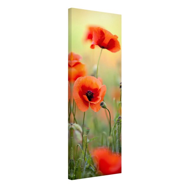 Floral canvas Red Summer Poppy