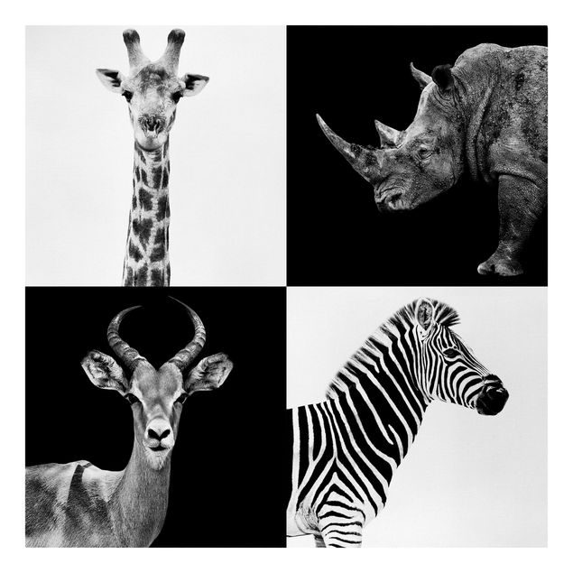 Animal wall art Safari Quartet