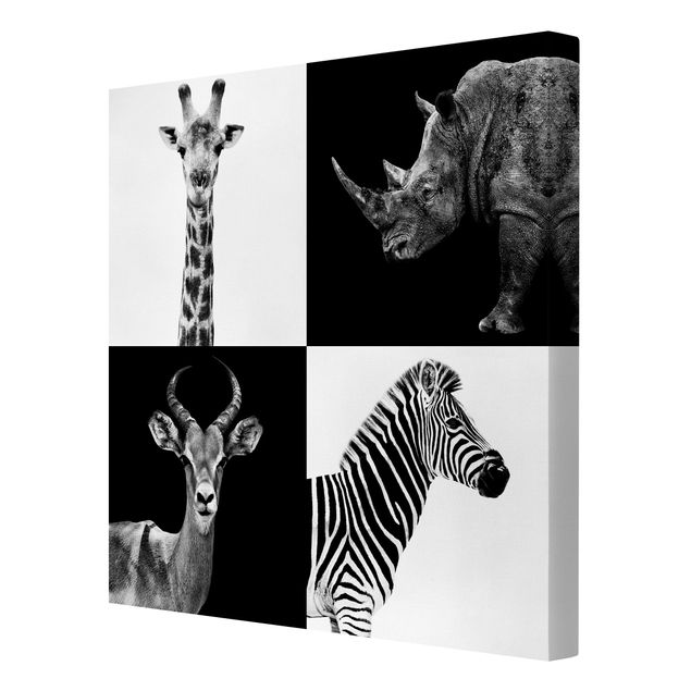 Contemporary art prints Safari Quartet