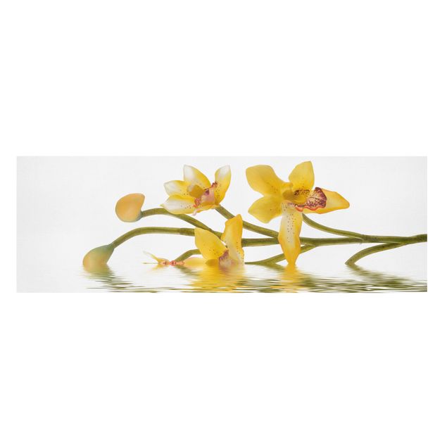 Floral prints Saffron Orchid Waters