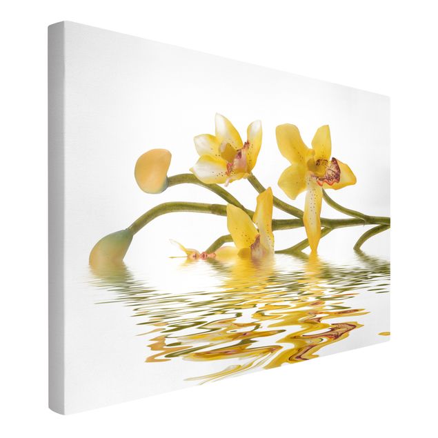 Prints floral Saffron Orchid Waters