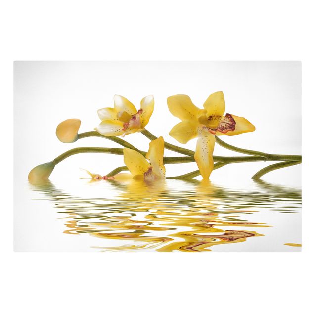 Floral prints Saffron Orchid Waters