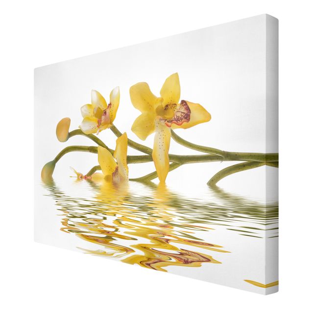 Contemporary art prints Saffron Orchid Waters
