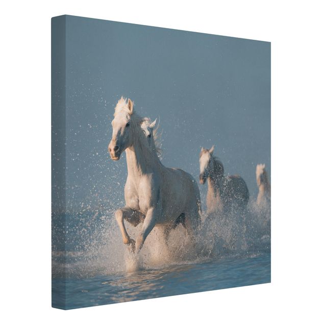 Prints animals Herd Of White Horses