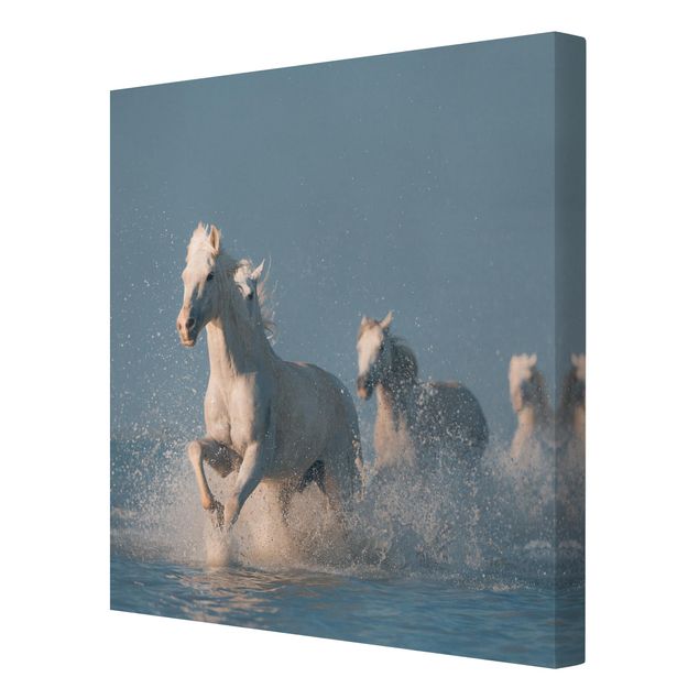 Animal canvas Herd Of White Horses