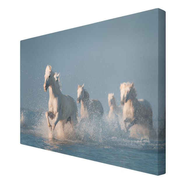 Animal canvas Herd Of White Horses