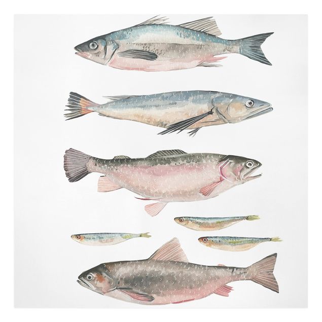 Contemporary art prints Seven Fish In Watercolour I