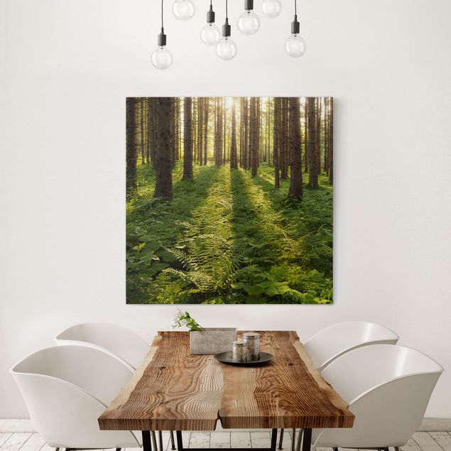 Prints landscape Sun Rays In Green Forest
