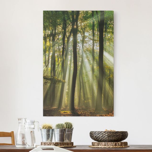 Landscape canvas prints Sunny Day In The Forest