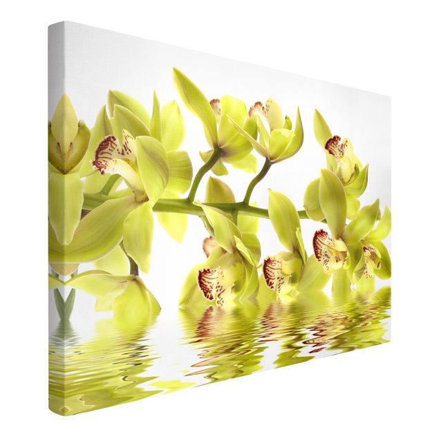 Flower print Splendid Orchid Waters
