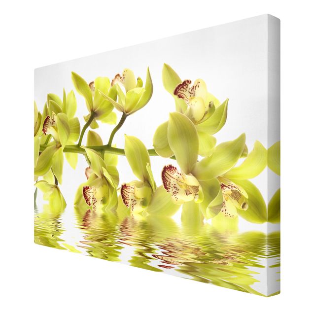 Modern art prints Splendid Orchid Waters