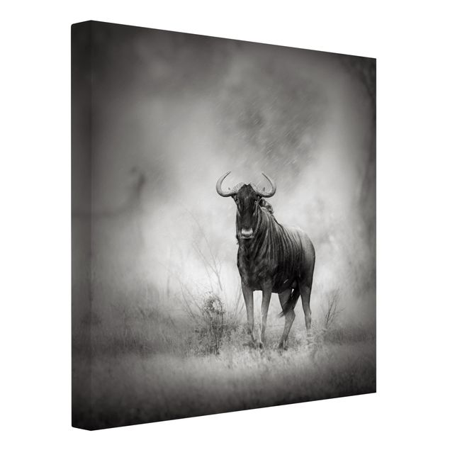 Modern art prints Staring Wildebeest