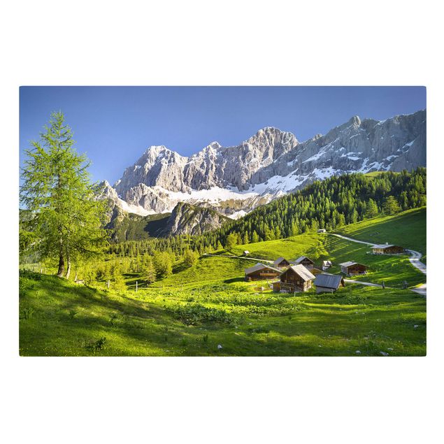 Mountain canvas wall art Styria Alpine Meadow