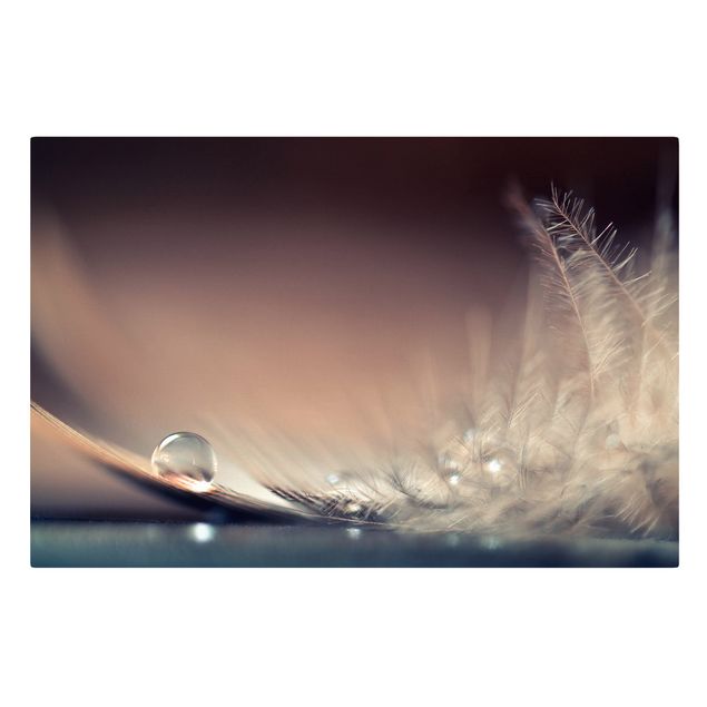 Canvas prints Story of a Waterdrop