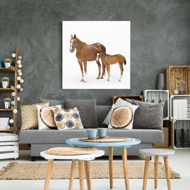 Horses wall art Mare & Foal