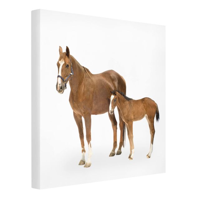 Animal canvas Mare & Foal