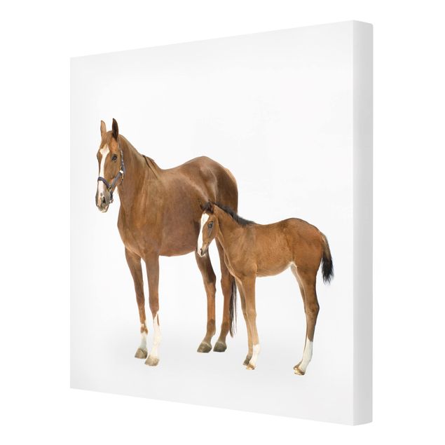 Animal canvas art Mare & Foal