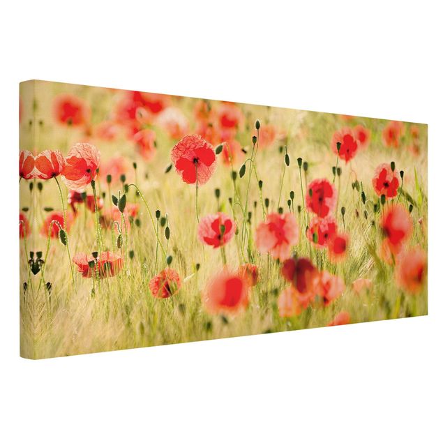 Prints floral Summer Poppies
