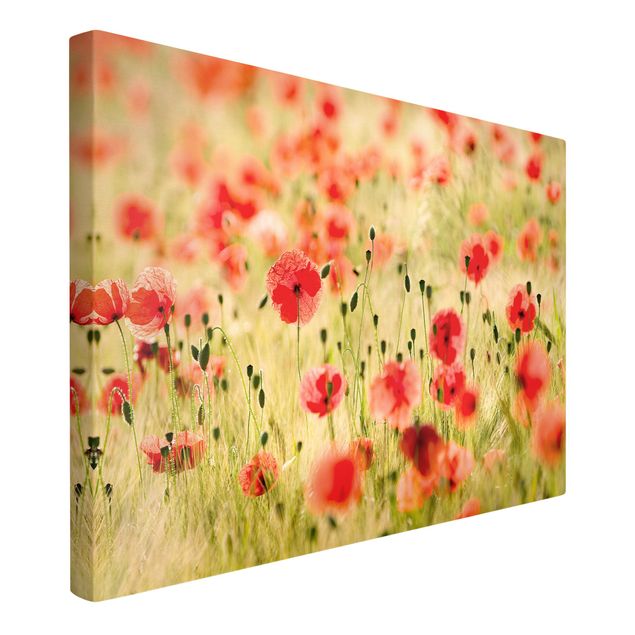 Prints floral Summer Poppies