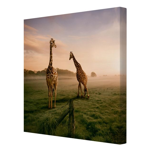 Contemporary art prints Surreal Giraffes