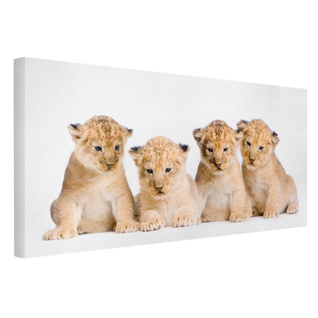 Cat canvas Sweet Lion Babys