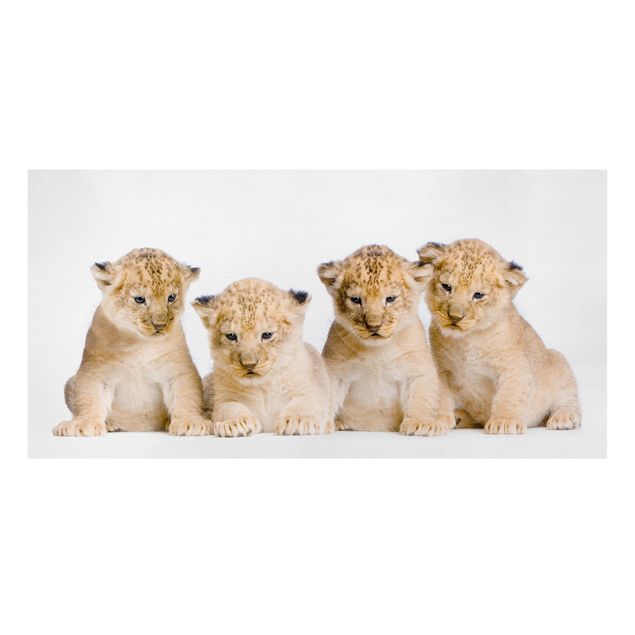 Prints animals Sweet Lion Babys