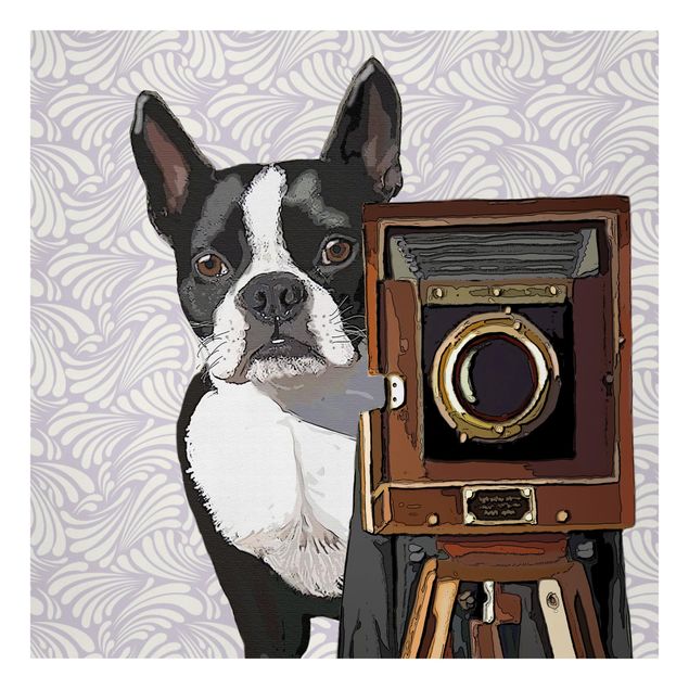 Prints animals Wildlife Photographer Terrier