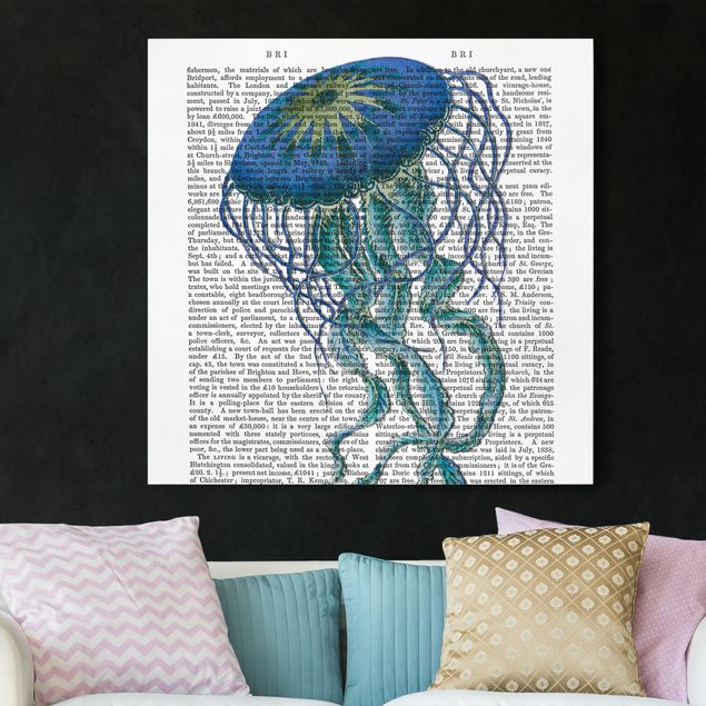 Kitchen Animal Reading - Jellyfish