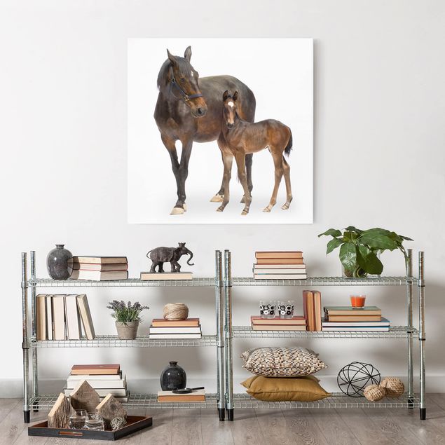 Horse canvas wall art Trakehner Mare & Foal