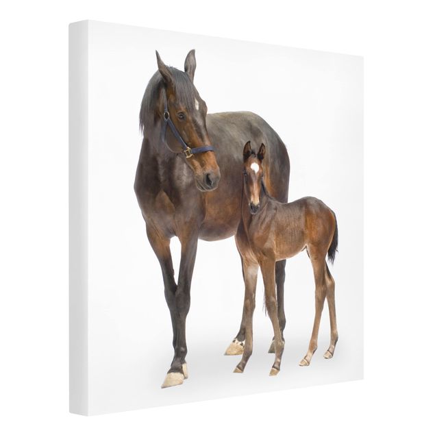 Horse prints Trakehner Mare & Foal
