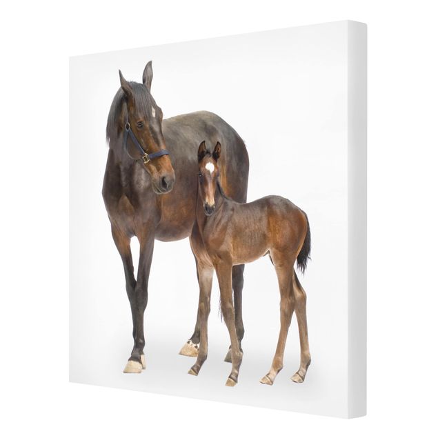 Contemporary art prints Trakehner Mare & Foal