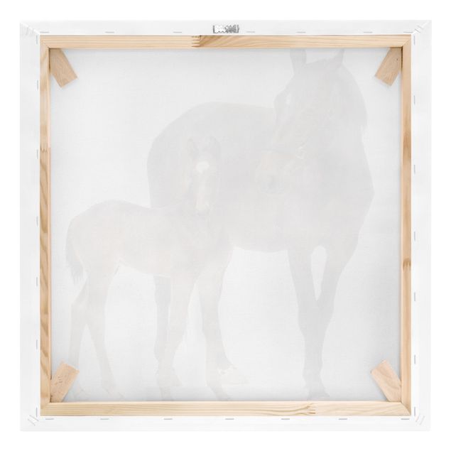 Canvas prints animals Trakehner Mare & Foal