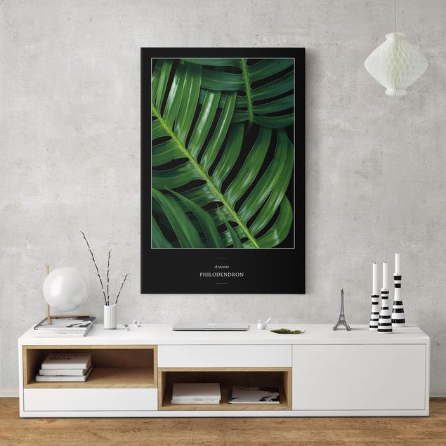 Prints floral Tropical Leaves Philodendron