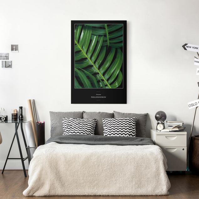 Floral prints Tropical Leaves Philodendron